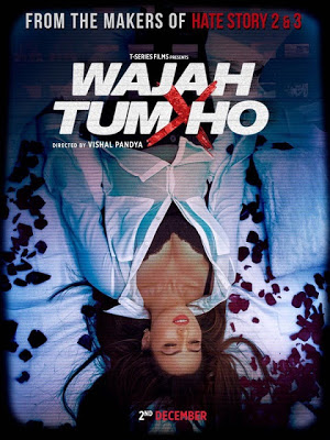 Wajah Tum Ho 2016 Hindi pDVDRip 700mb